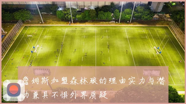 詹姆斯加盟森林狼的理由实力与潜力兼具不惧外界质疑